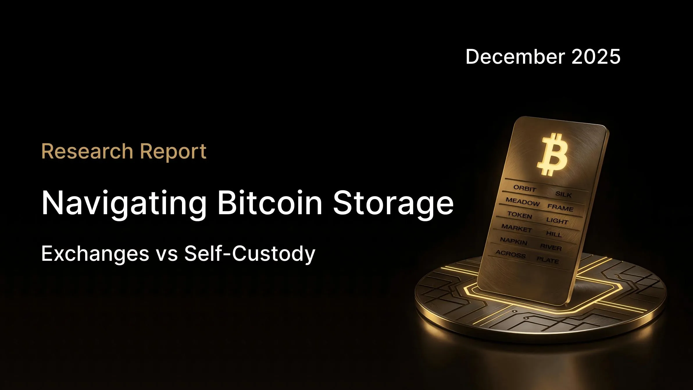 Navigating Bitcoin Storage